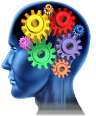 Our brain processes imagery faster than text